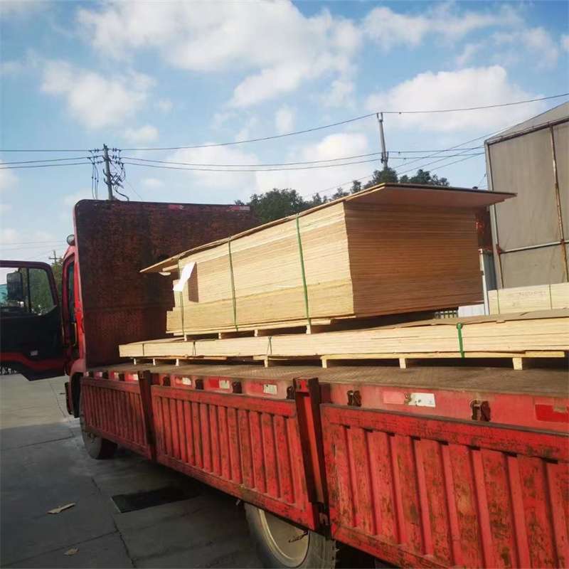 黑龙江哈尔滨道里至塔城货运专线，一站式物流服务助您成功